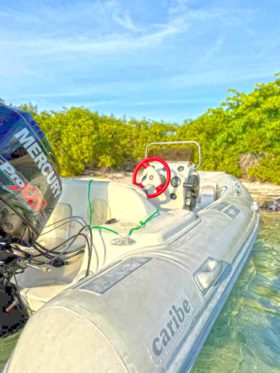 DINGHY CARIBE DL 14