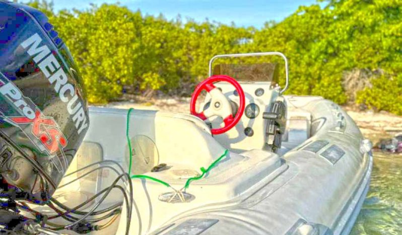
								DINGHY CARIBE DL 14 full									