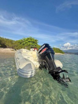 
										DINGHY CARIBE DL 14 full									
