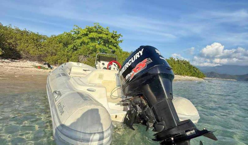 
								DINGHY CARIBE DL 14 full									