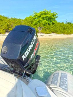 
										DINGHY CARIBE DL 14 full									
