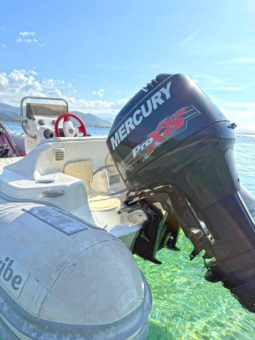 
										DINGHY CARIBE DL 14 full									