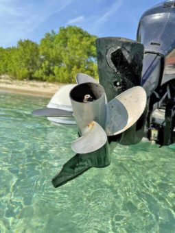 
										DINGHY CARIBE DL 14 full									