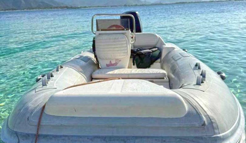 
								DINGHY CARIBE DL 14 full									