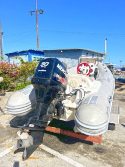 
										DINGHY CARIBE DL 14 full									