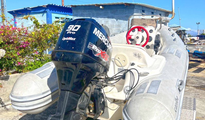 
								DINGHY CARIBE DL 14 full									