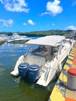 
										AQUABOATS MIRAGE 3500 38 full									