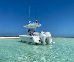 
										INTREPID 245 24 full									