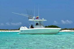 
										INTREPID 245 24 full									