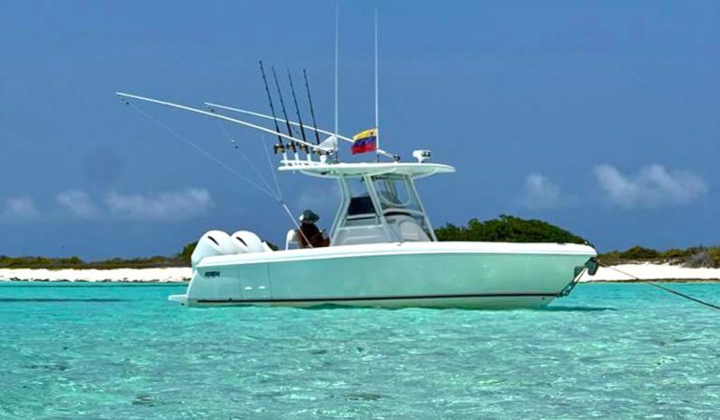 
								INTREPID 245 24 full									