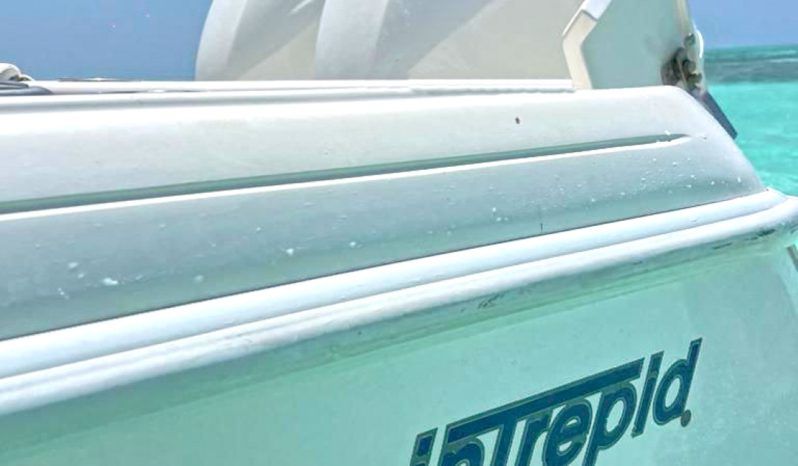 
								INTREPID 245 24 full									