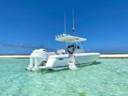 
										INTREPID 245 24 full									