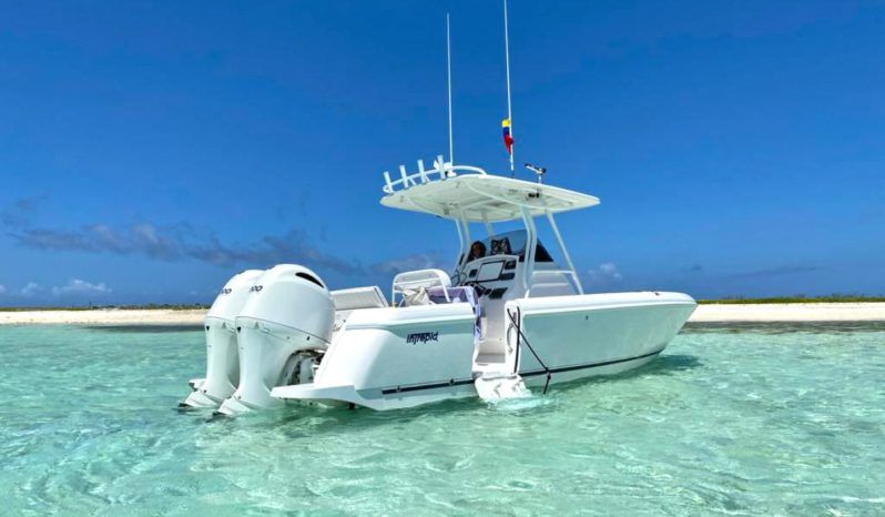 
								INTREPID 245 24 full									