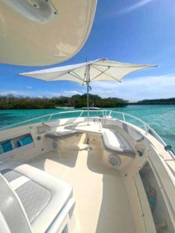 PROMARINE OPEN 33 full