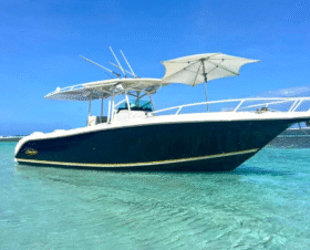 PROMARINE OPEN 33