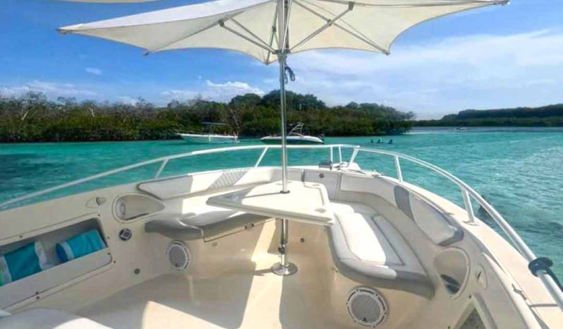 PROMARINE OPEN 33 full