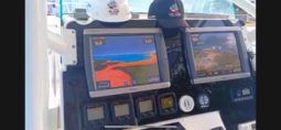PROMARINE OPEN 33 full