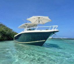 PROMARINE OPEN 33 full