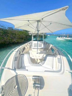 PROMARINE OPEN 33 full