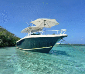PROMARINE OPEN 33