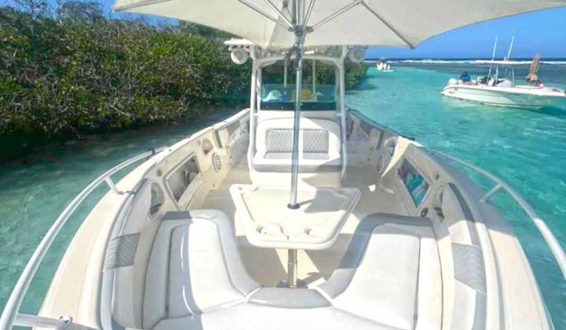PROMARINE OPEN 33 full