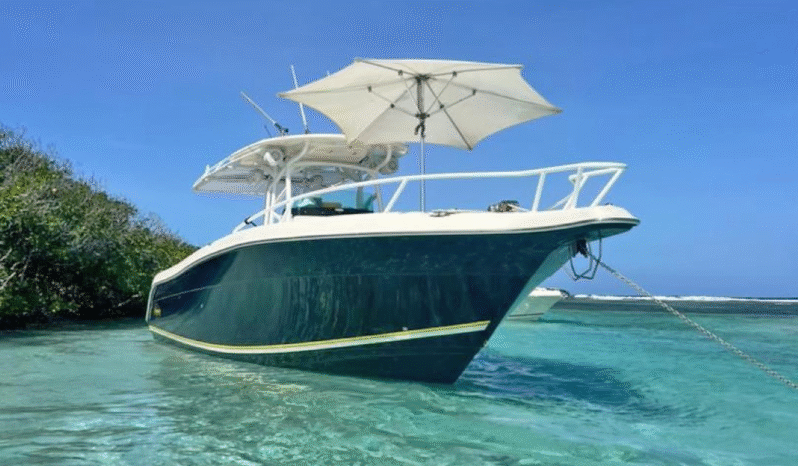 PROMARINE OPEN 33 full