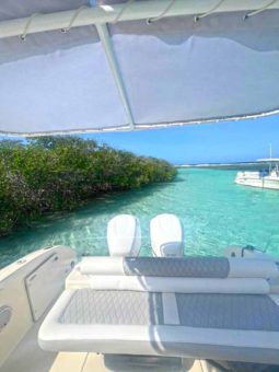 PROMARINE OPEN 33 full