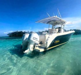 PROMARINE OPEN 33