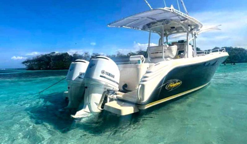 PROMARINE OPEN 33 full