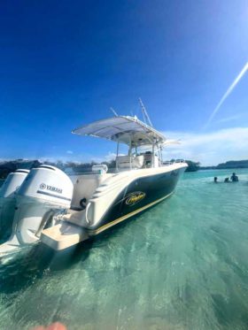 PROMARINE OPEN 33