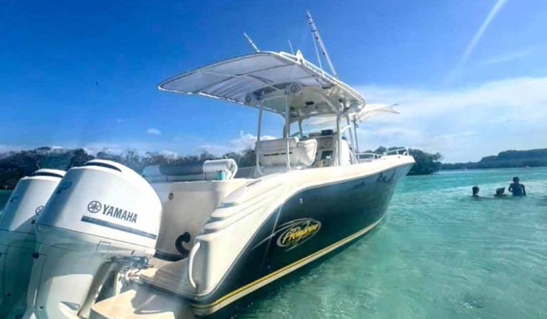 PROMARINE OPEN 33 full