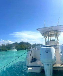 PROMARINE OPEN 33 full
