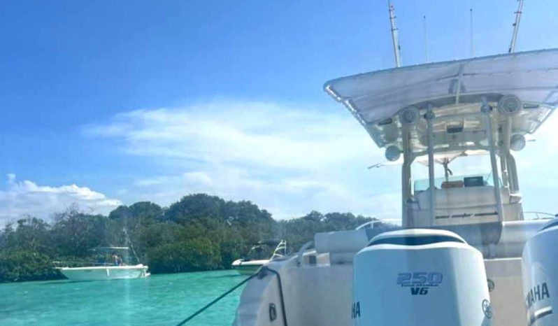 PROMARINE OPEN 33 full