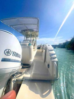 PROMARINE OPEN 33 full