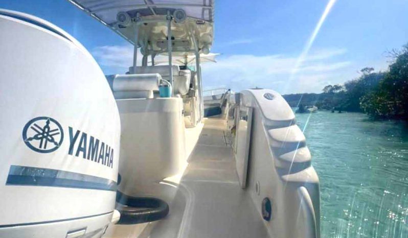 PROMARINE OPEN 33 full