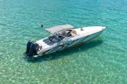 PROMARINE SUPER SPORT 33