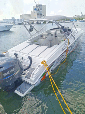 PROMARINE SUPER SPORT 33