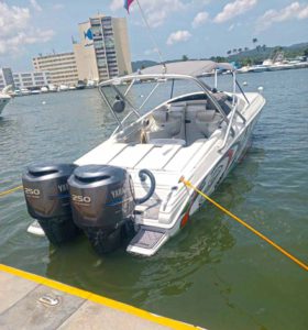 PROMARINE SUPER SPORT 33