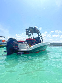 
										PROMARINE WAKE 21 full									