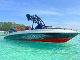 PROMARINE WAKE 21