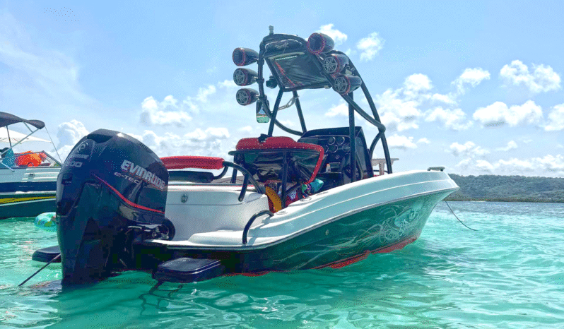 
								PROMARINE WAKE 21 full									