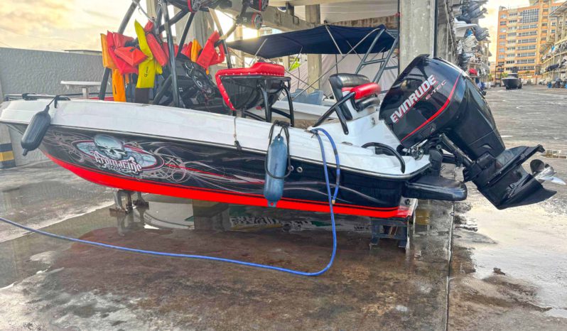 
								PROMARINE WAKE 21 full									
