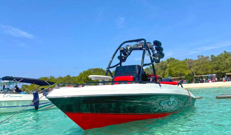 
								PROMARINE WAKE 21 full									