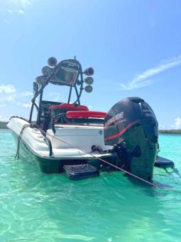 
										PROMARINE WAKE 21 full									
