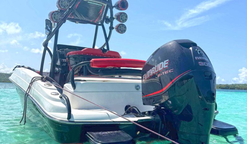 
								PROMARINE WAKE 21 full									
