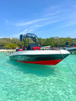 
										PROMARINE WAKE 21 full									