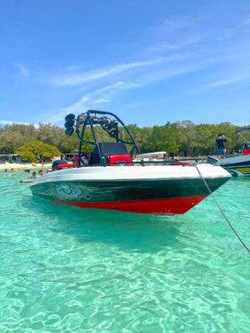 PROMARINE WAKE 21