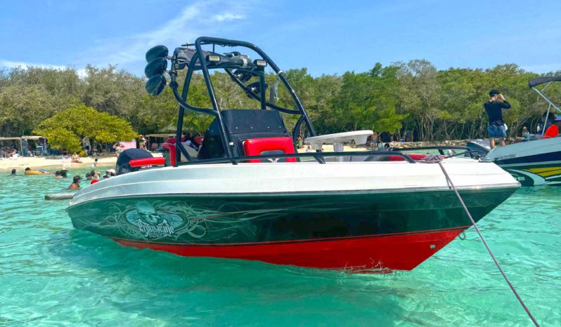 
								PROMARINE WAKE 21 full									