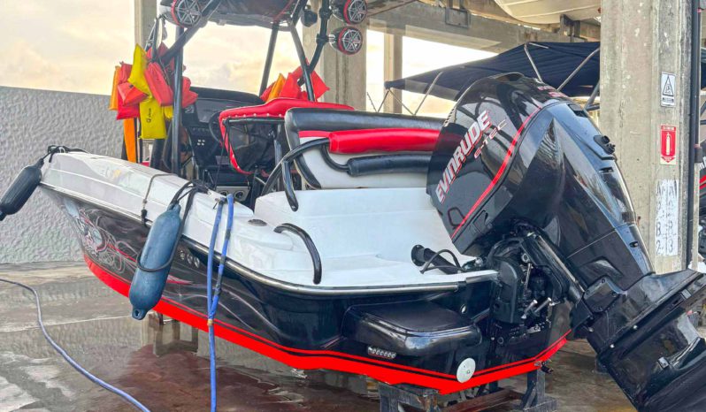 
								PROMARINE WAKE 21 full									
