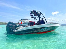 PROMARINE WAKE 21